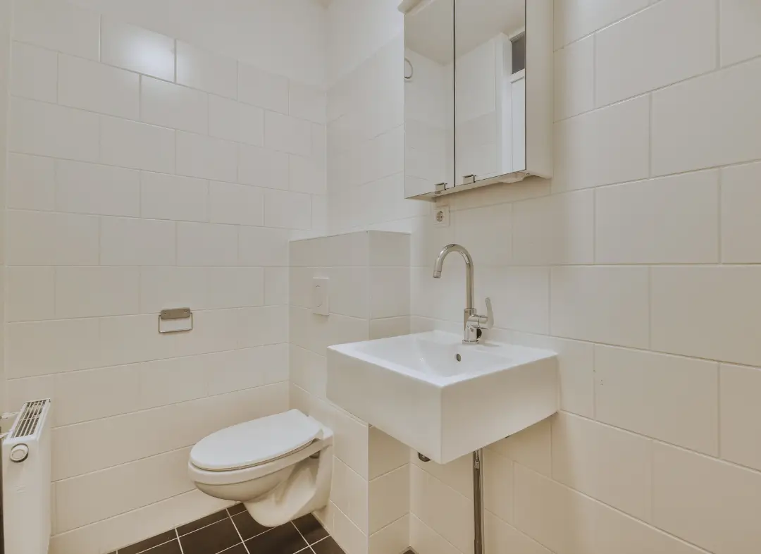 Pose WC Suspendu Segré-en-Anjou Bleu